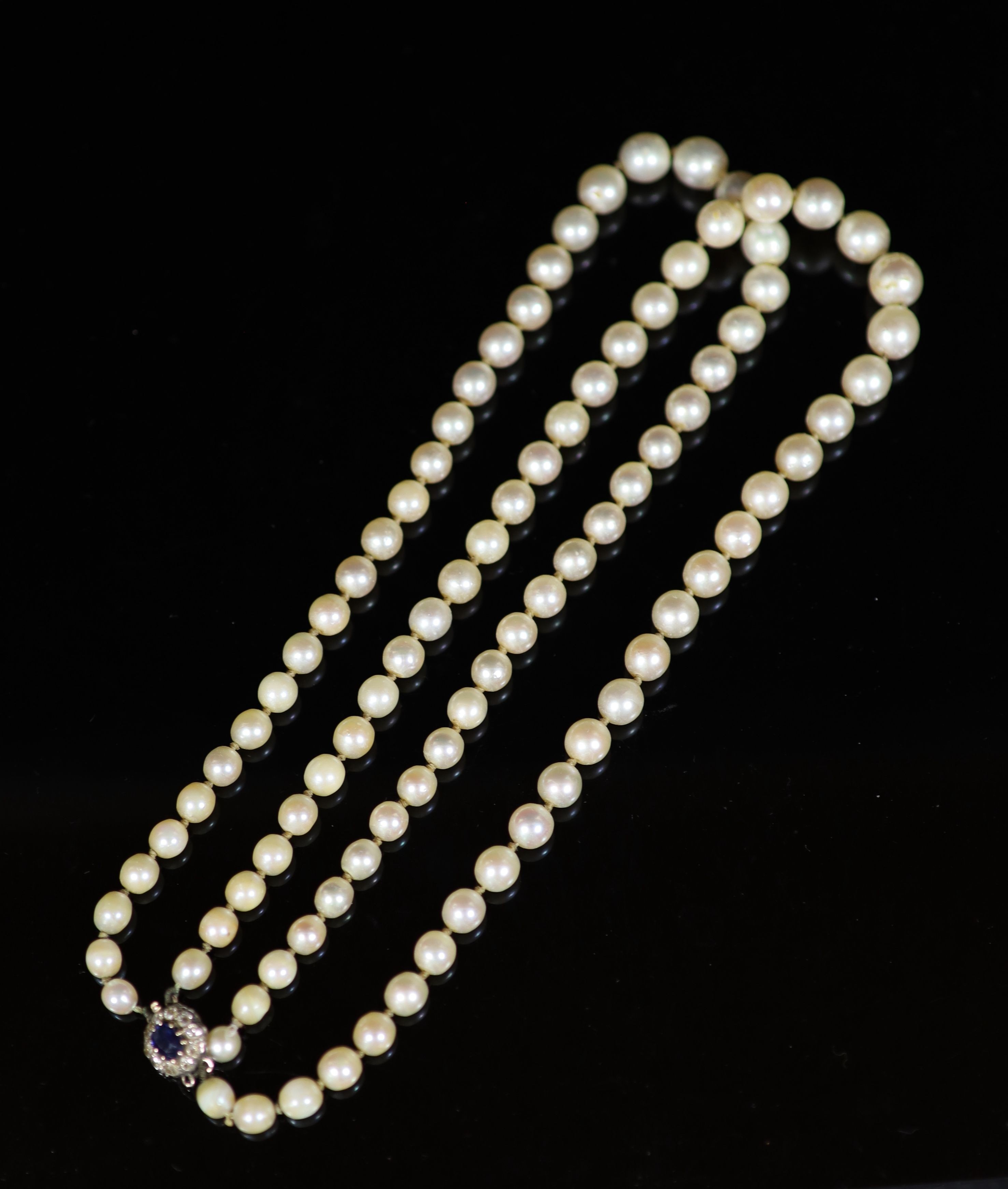 An early 20th century double strand graduated cultured pearl choker necklace, with sapphire and diamond cluster set gold clasp